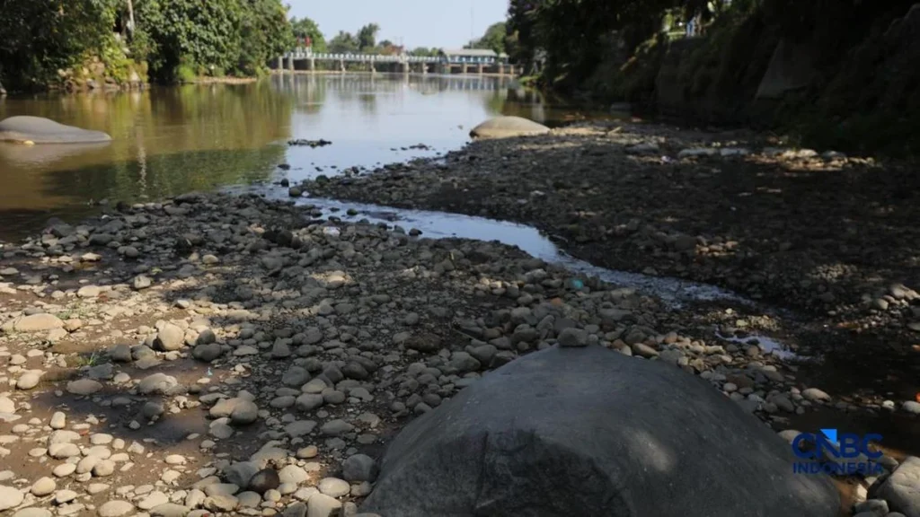 Bendung Katulampa Kering Kerontang, Sungai Berubah Jadi Daratan, Warga Ketakutan