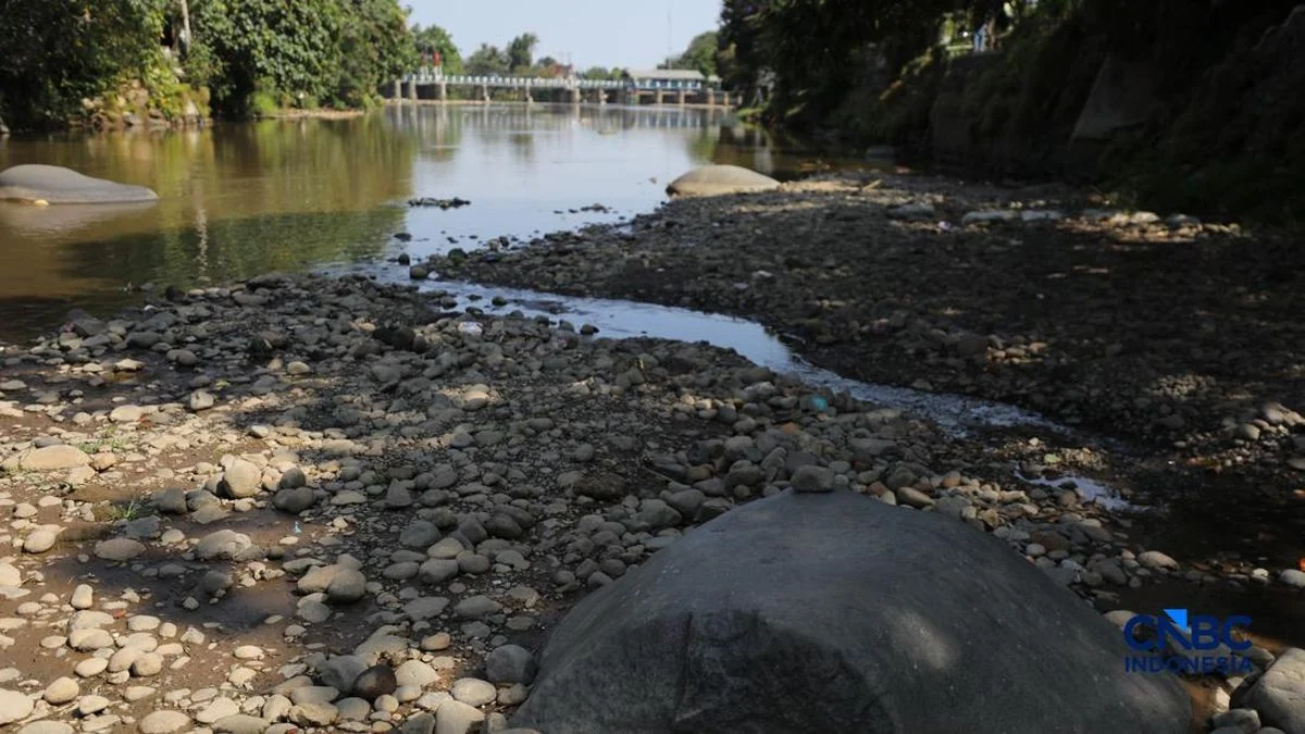 Bendung Katulampa Kering Kerontang, Sungai Berubah Jadi Daratan, Warga Ketakutan
