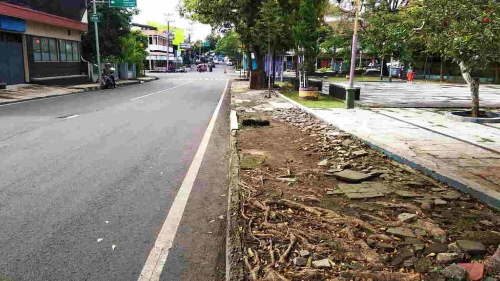 Berita Lalu Lintas Ciamis: Proyek Underpass Cimahi, Trotoar Rusak Tasik, hingga Pohon Tumbang di Cianjur