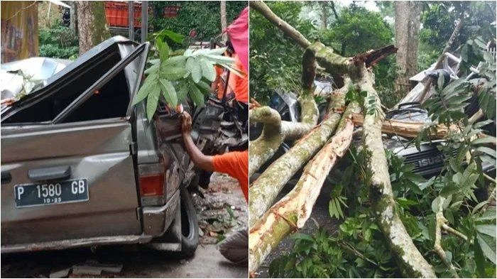 Berita Lalu Lintas Sukabumi: Rangkaian Insiden dari Kecelakaan Maut hingga Pohon Tumbang