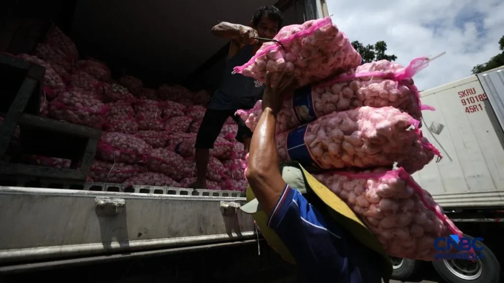 BPS Ungkap Penyebab Kenaikan Harga Bawang Putih: Rupiah Melemah dan Biaya Logistik Melonjak