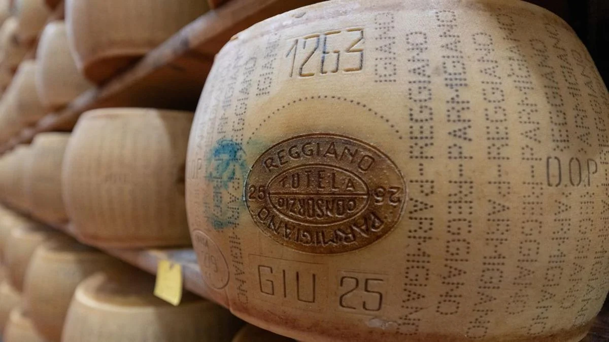 Gelombang Panas Ekstrem Ancam Produksi Parmigiano Reggiano, Keju Termahal Italia Terancam Kiamat