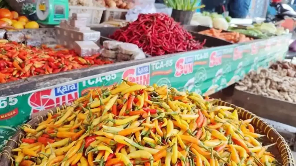 Harga Cabai di Bangka Masih Tinggi, Cabai Rawit Capai Rp75 Ribu per Kilogram