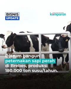 Kabar Baik! Investasi Peternakan Sapi Perah Rp1,2 Triliun Mulai Dibangun di Brebes, Jateng