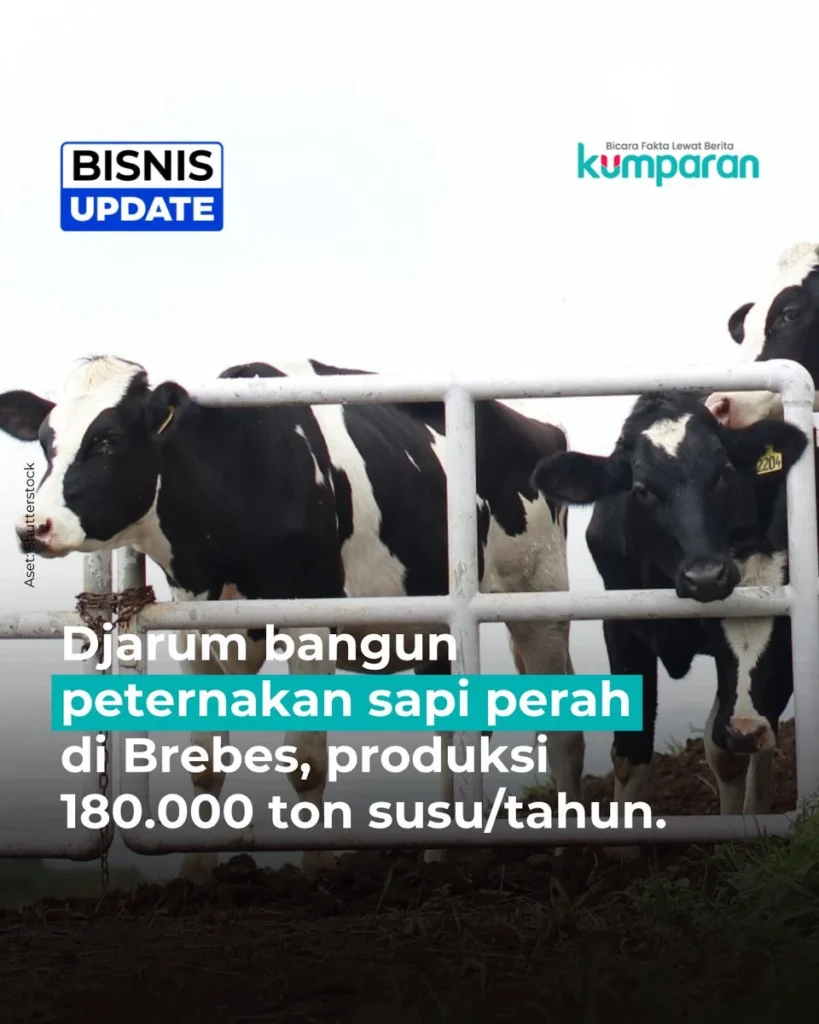 Kabar Baik! Investasi Peternakan Sapi Perah Rp1,2 Triliun Mulai Dibangun di Brebes, Jateng