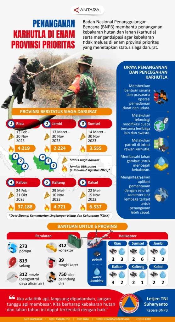 Karhutla Meluas di 6 Provinsi, BNPB Minta Daerah Tingkatkan Kesiapsiagaan