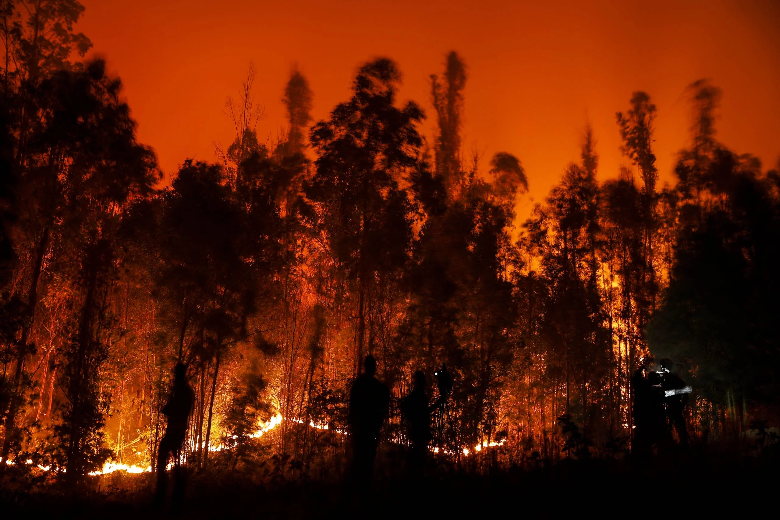 Kebakaran Hutan Cairngorms dan Final Piala Dunia 2026: Update Berita Akhir Pekan