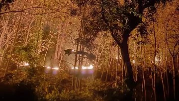 Kebakaran Hutan di Ponorogo: 3 Hektare Lahan Terbakar Diduga Akibat Puntung Rokok