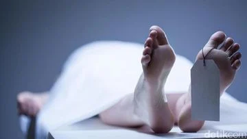 Kecelakaan Maut di Pakansari: Pemotor Tewas Tertabrak Pikap
