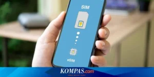 Kelebihan Sim Kolektif