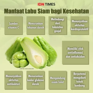 Labu Siam: Manfaat Kesehatan dan Risiko Konsumsi Berlebihan