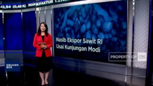 Nasib Ekspor Sawit RI Pasca Kunjungan Perdana Menteri India Narendra Modi