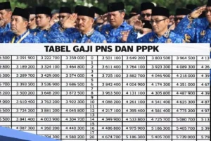 Titik Terang Gaji PPPK dan TPP ASN di Kuansing, di Tengah Perkara Suap Bupati