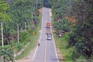 Viral Tapir Melintas di Jalan Lintas Timur Lampung, Berujung Pembunuhan dan Penangkapan 4 Pelaku