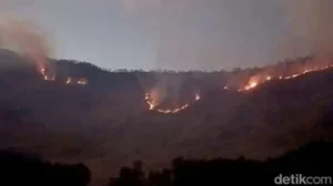 Kebakaran Hutan Merembet ke Savana Gunung Bromo, Petugas Bikin Sekat untuk Cegah Api Meluas