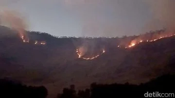 Kebakaran Hutan Merembet ke Savana Gunung Bromo, Petugas Bikin Sekat untuk Cegah Api Meluas