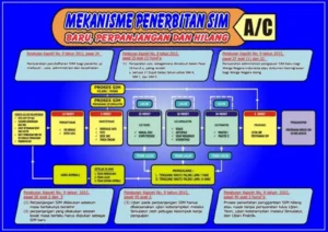 Pendaftaran SIM Kolektif Tangerang Dengan Kemampuan Adaptasi: Proses dan Persyaratan