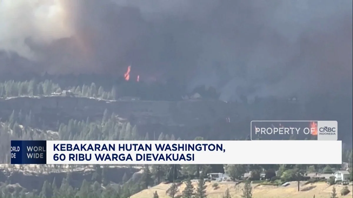 Video Kebakaran Hutan Washington 60 Ribu Warga Dievakuasi: Update dan Dampak Terkini