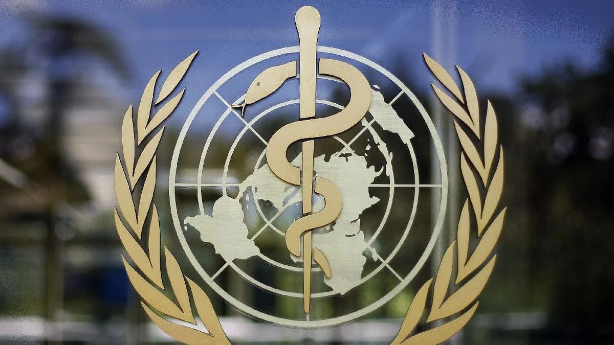 WHO Bongkar Taktik Raksasa Makanan di Balik Skandal Obesitas Global: Apa yang Terjadi?